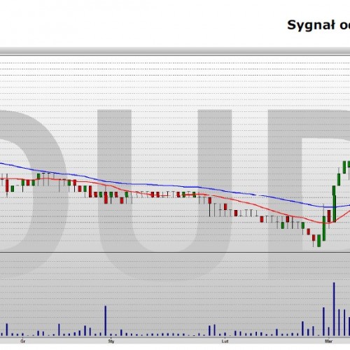 Duda: analiza techniczna