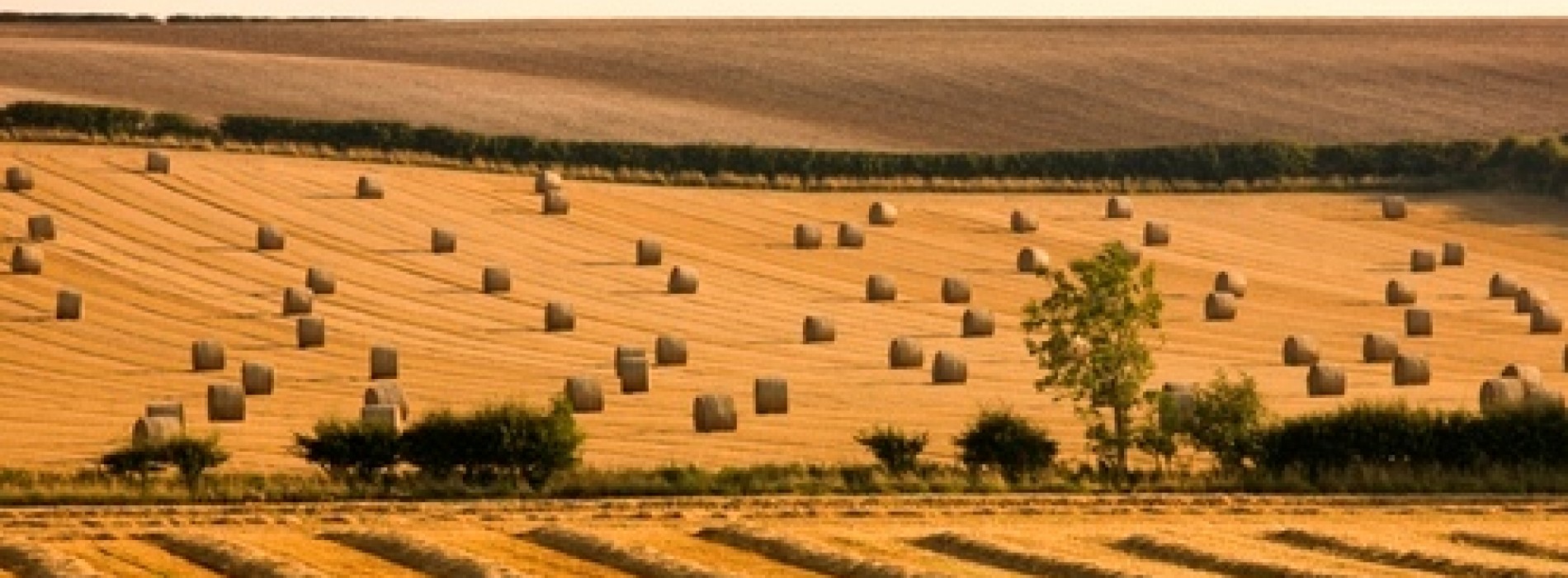 Jak rozsądnie inwestować w ziemię?