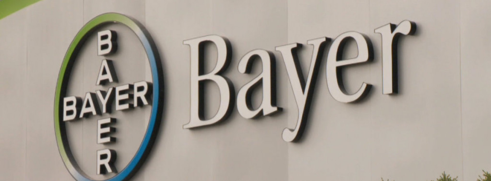 Bayer dzieli się by rosnąć