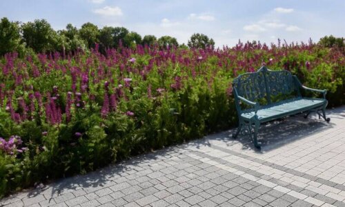 Czy kostka brukowa może być designerska? Najciekawsze projekty z betonu